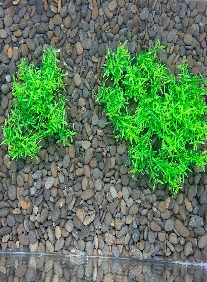 Smoothedo-Pets Aquarium Plant Fish Tank Decoration 20 Pieces Small/1" Tall Plastic Artificial Plant Goldfish Hidden Mini Grass Set (Green-A) - Image 5